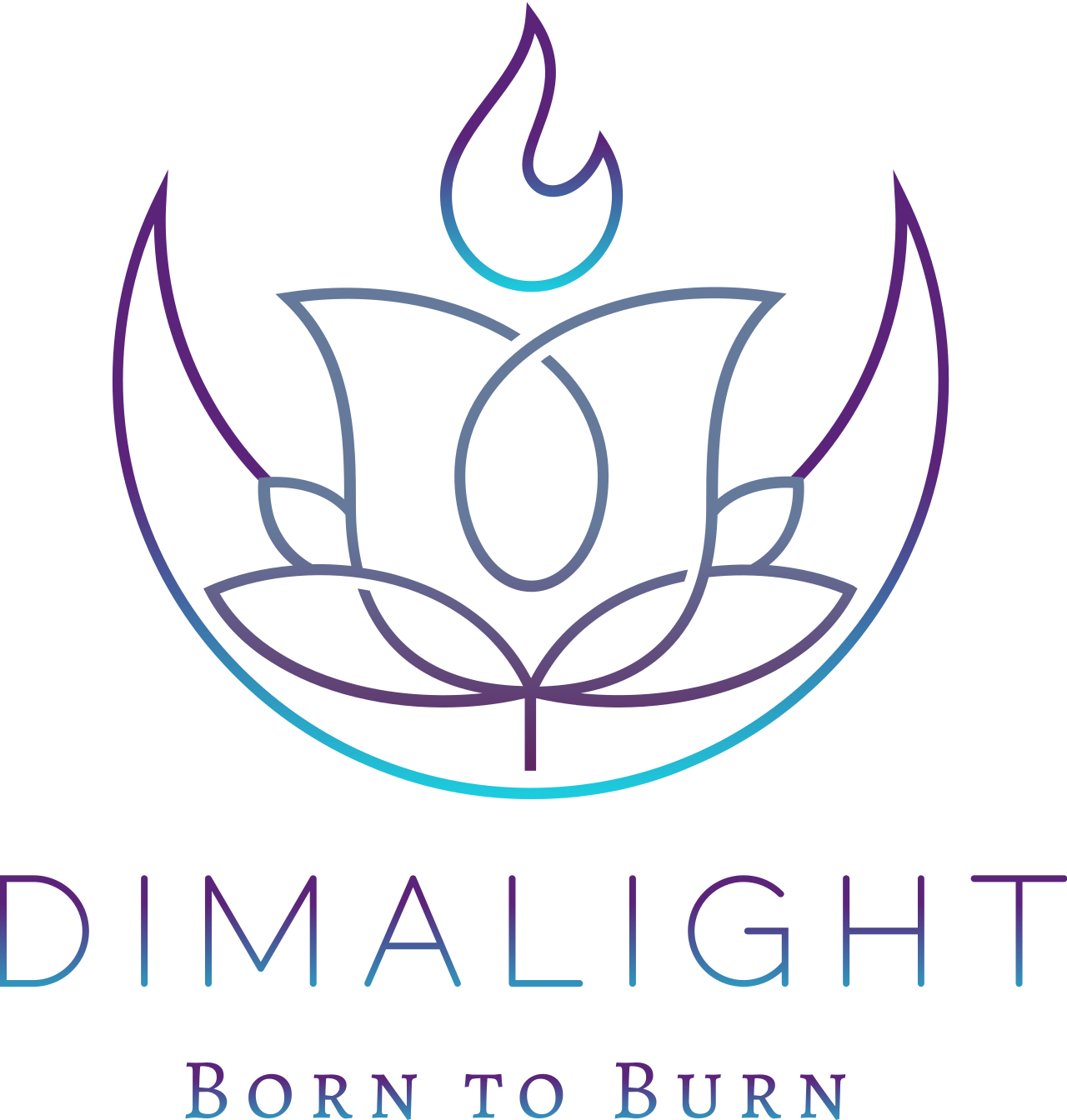 Dimalight brand logo