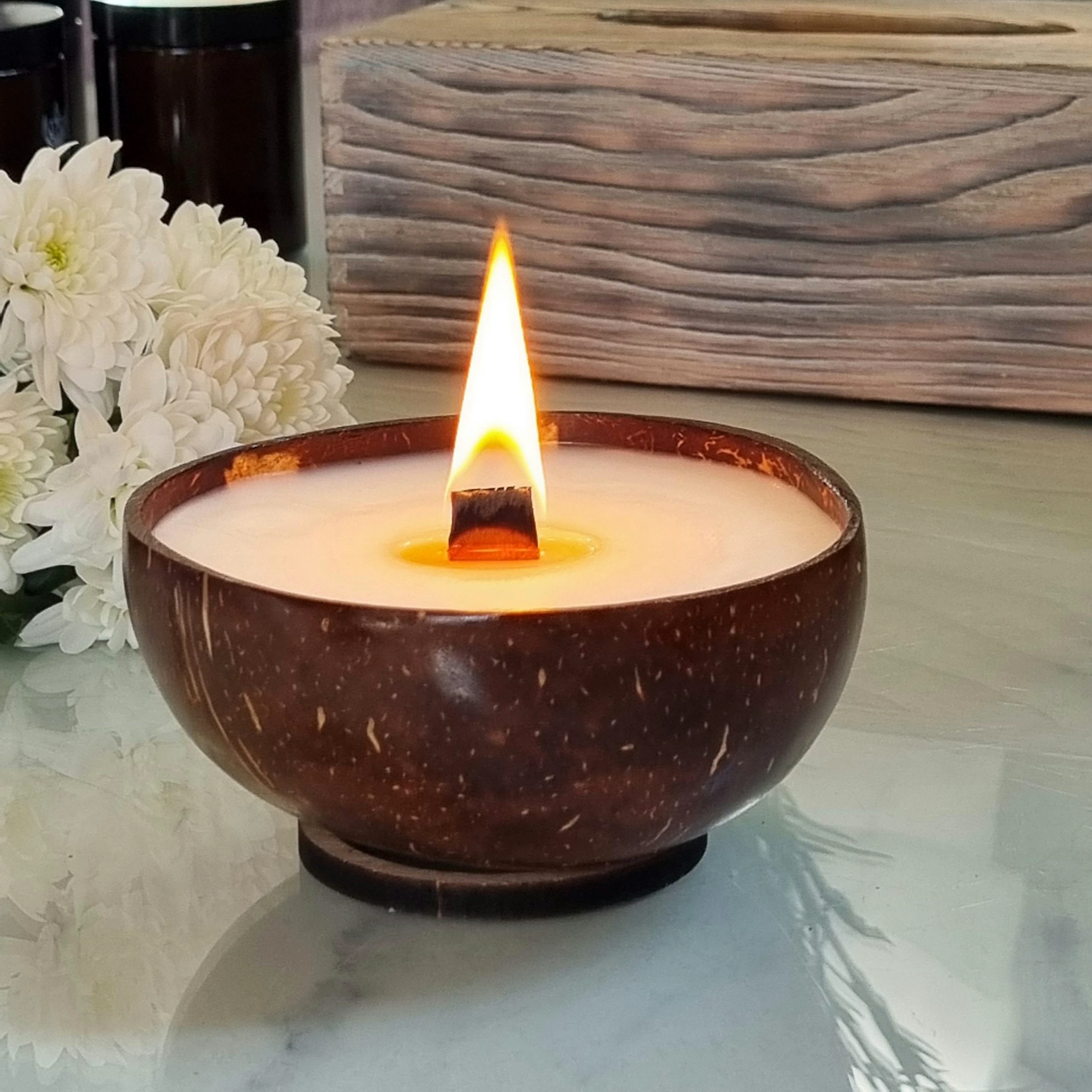 il_fullxfull.6772288146_ipyr.jpg — enhanced Dimalight Coconut Bowl Candle – product photo 7